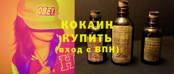 шишки Приозерск